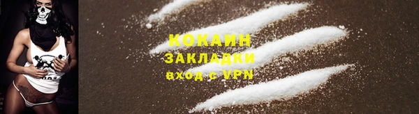 мет Инсар