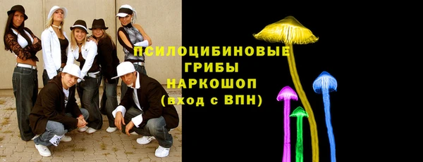 мет Инсар