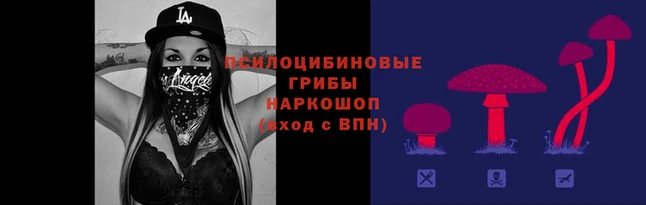 мет Инсар