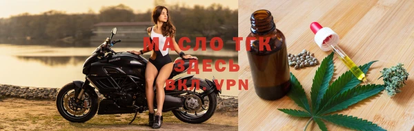 метадон Инта